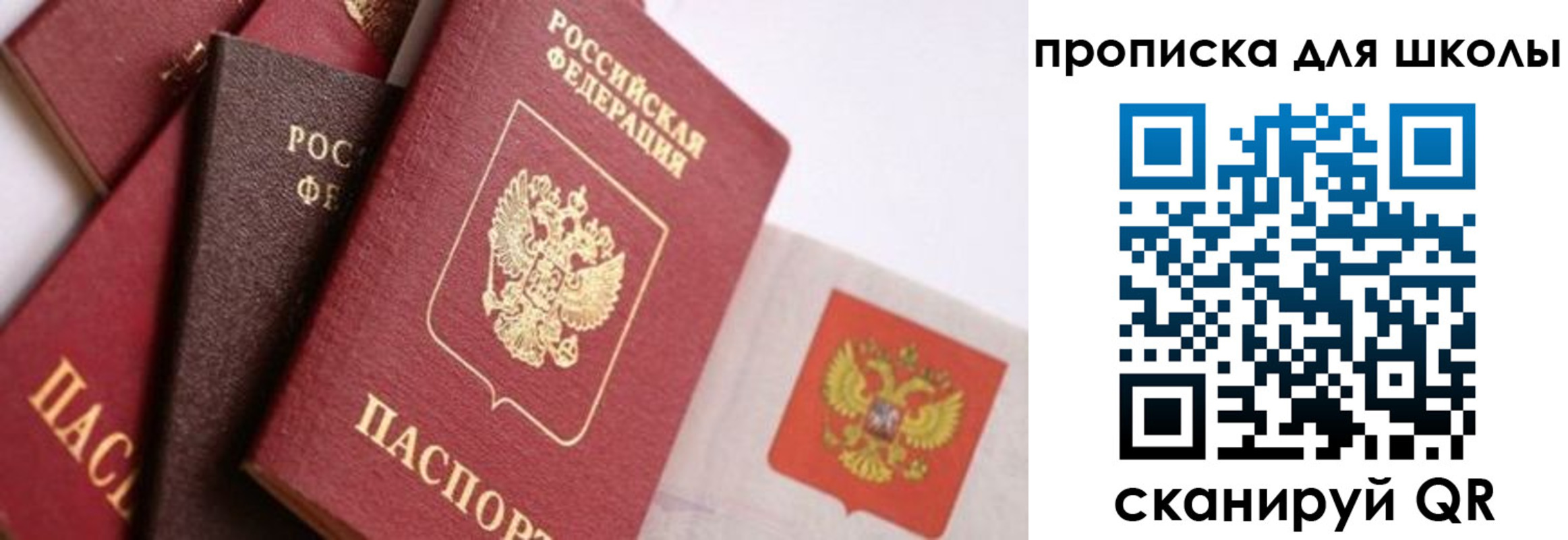 прописка поиск в Ржеве